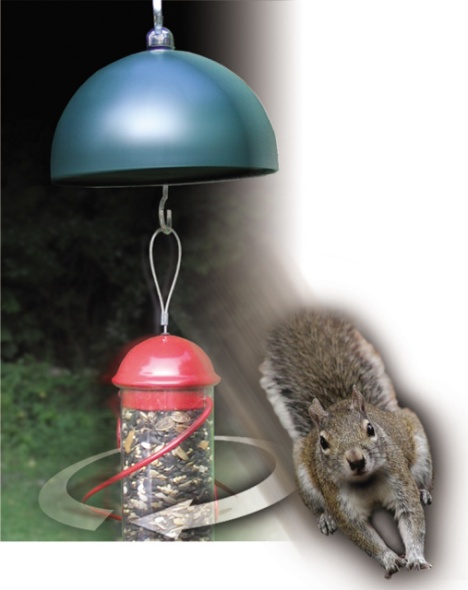 Turn Your Feeder into a Safe Carousel for the Squirrels!